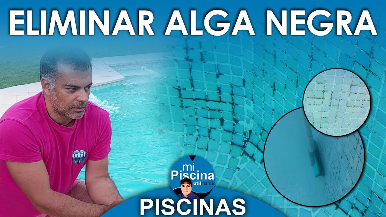Como Eliminar el Alga Negra en Piscinas