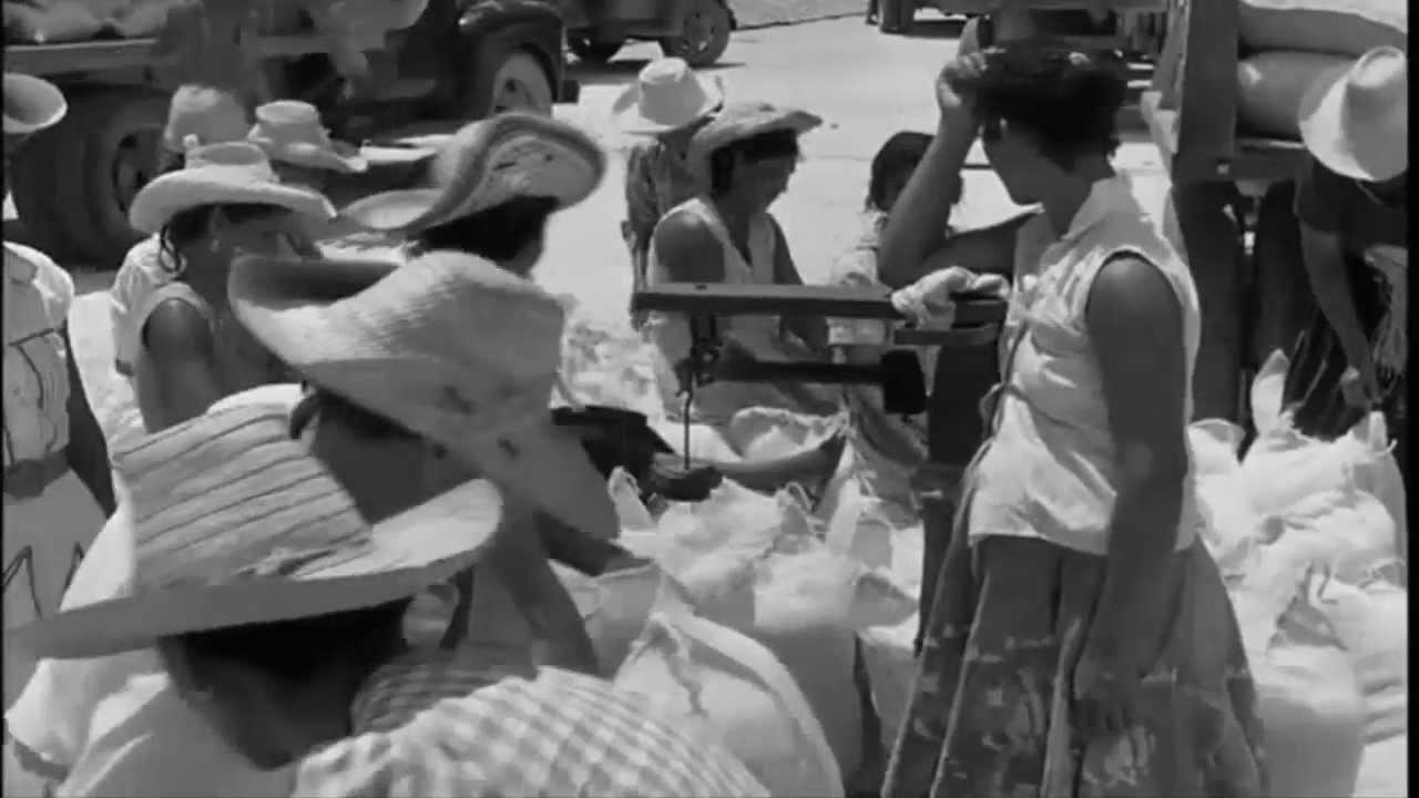 Besos de Sal (Joropo sucrense) Douglas Velásquez y su Bandolín. HD