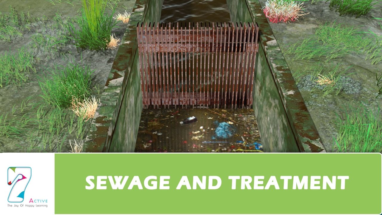 SEWAGE AND TREATMENT