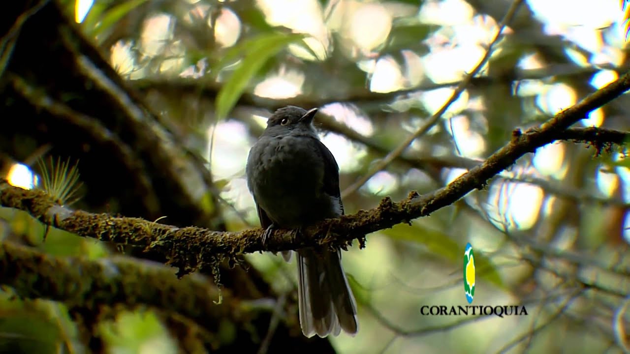 Estrategias de Conservación Ambiental