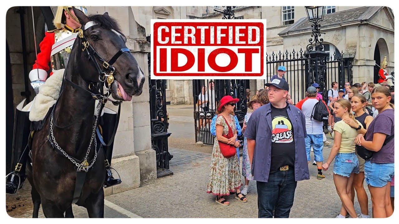 80 Times The Guard Ran Out of PATIENCE and Let Rip at Tourists!