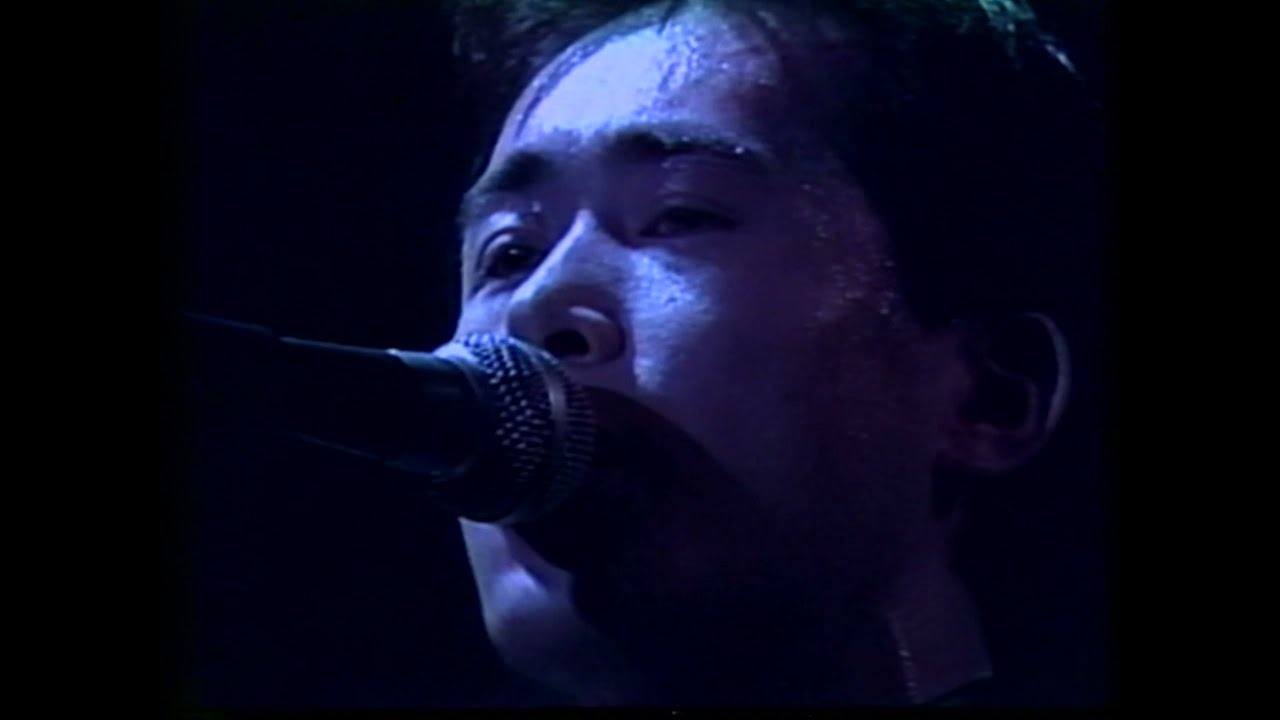 P-MODEL FISH SONG Live