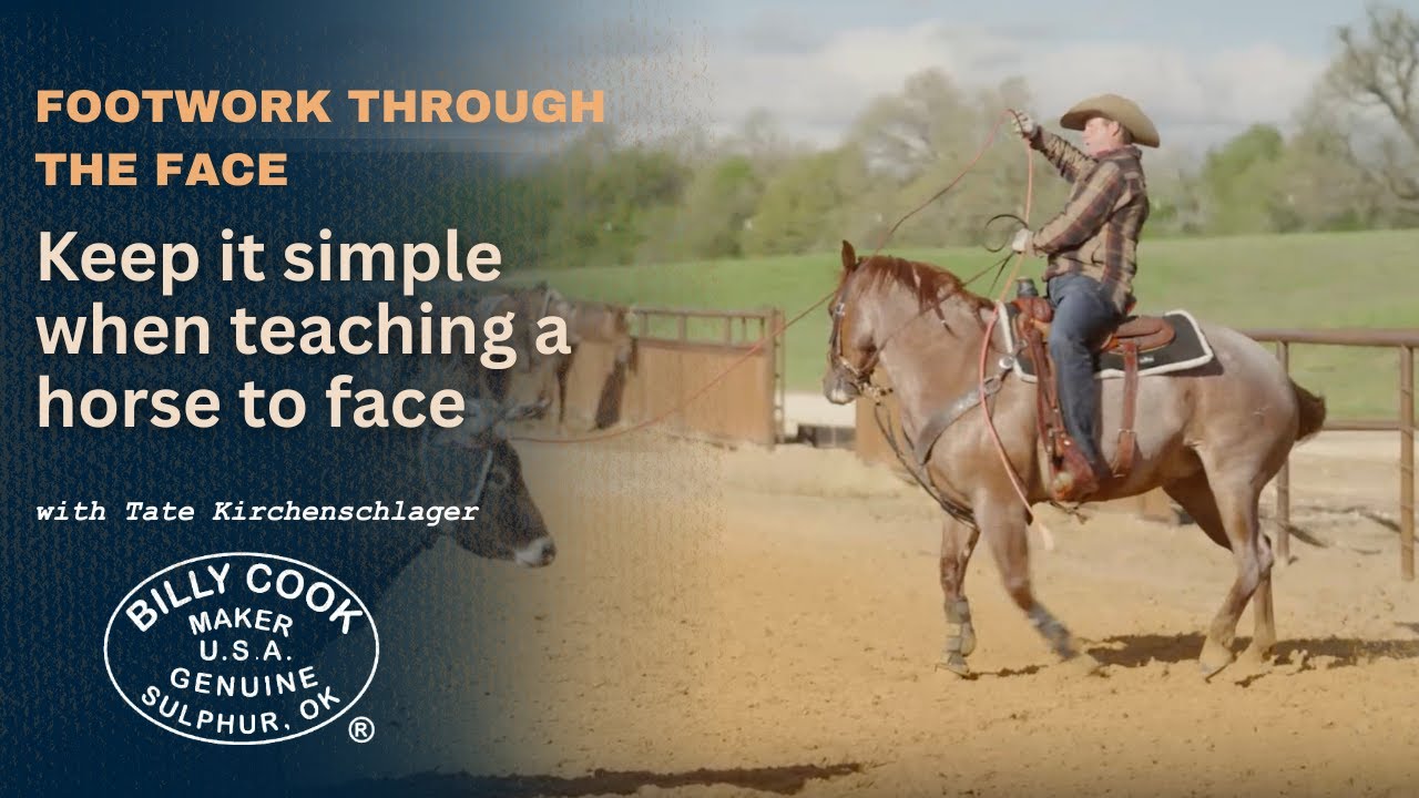 Facing a Head Horse and Footwork Through the Face
