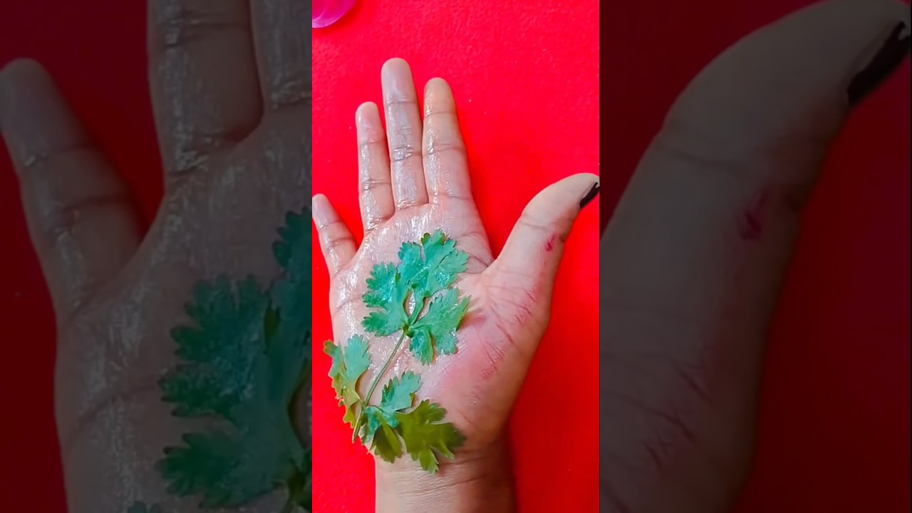 simple leaf 🌿 mehndi design 