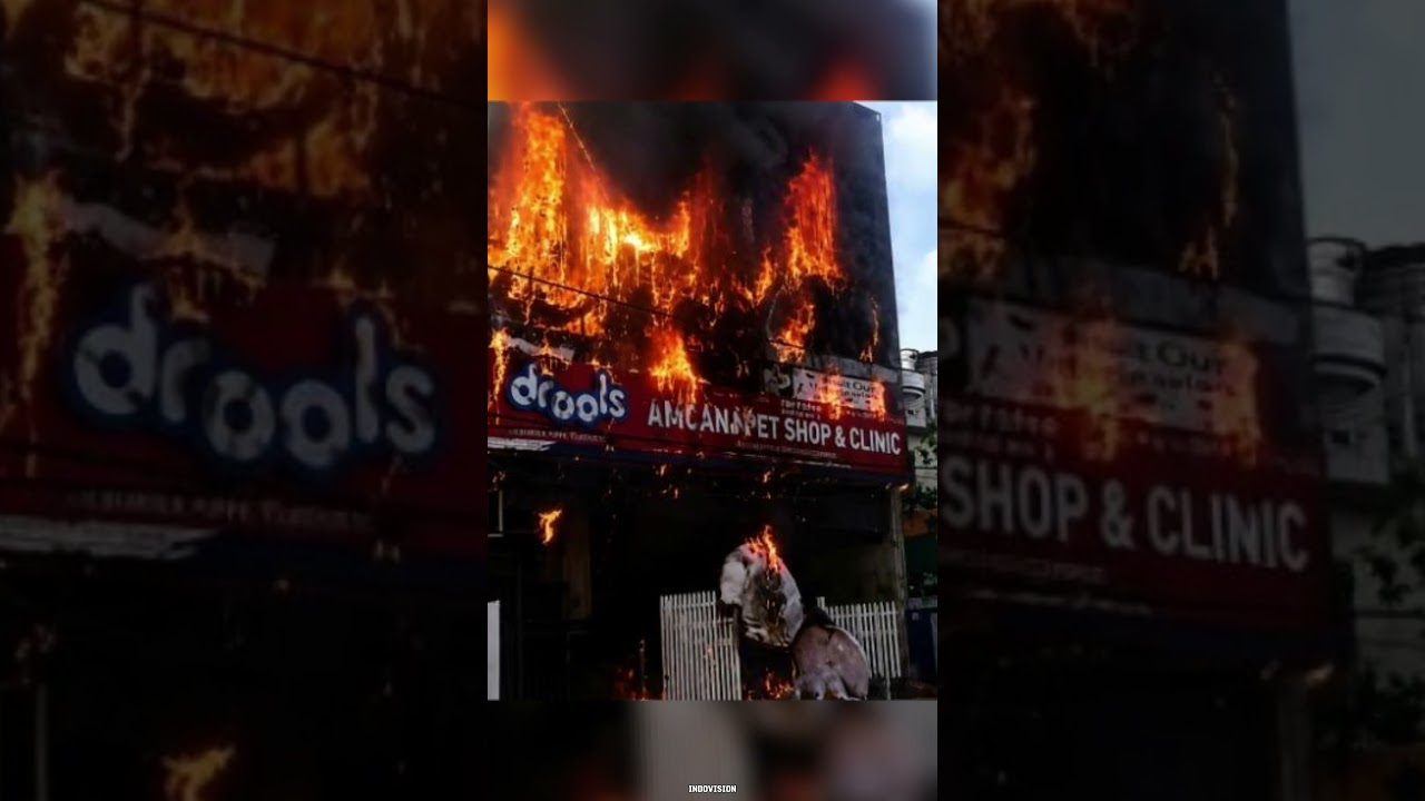 14 Dead After Massive Commercial Building Fire in Lucknow #lucknow #fire