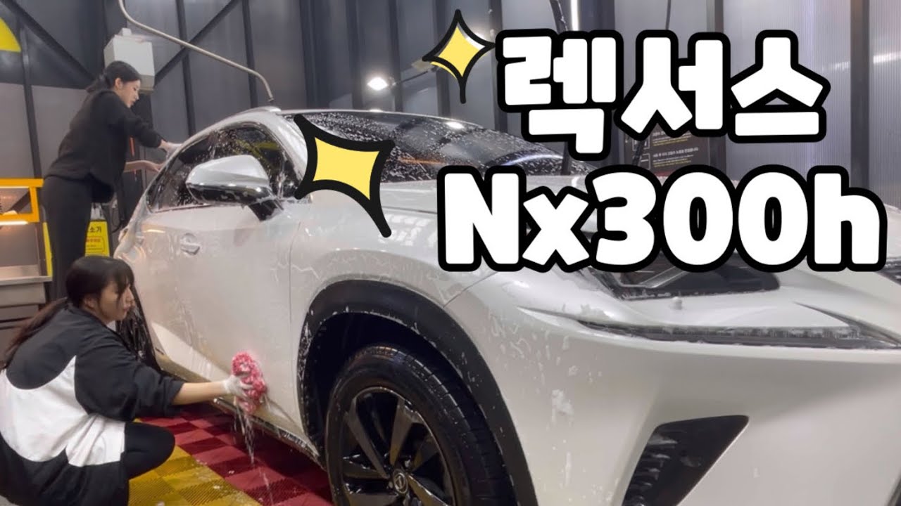 묵은 때 가득한 친구 차 세차해주기 / 렉서스Nx300h