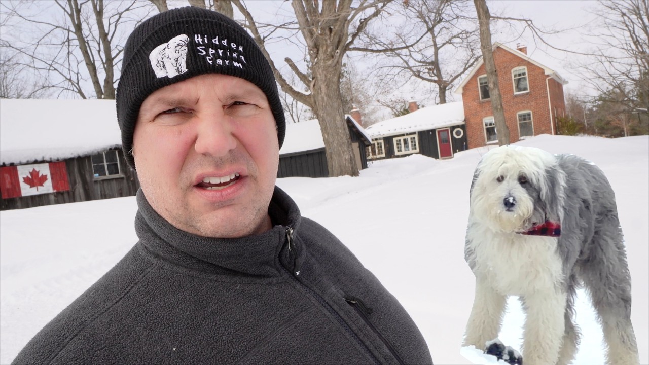 Morning Chores | Farmhouse Tour | Fresh Dog Food