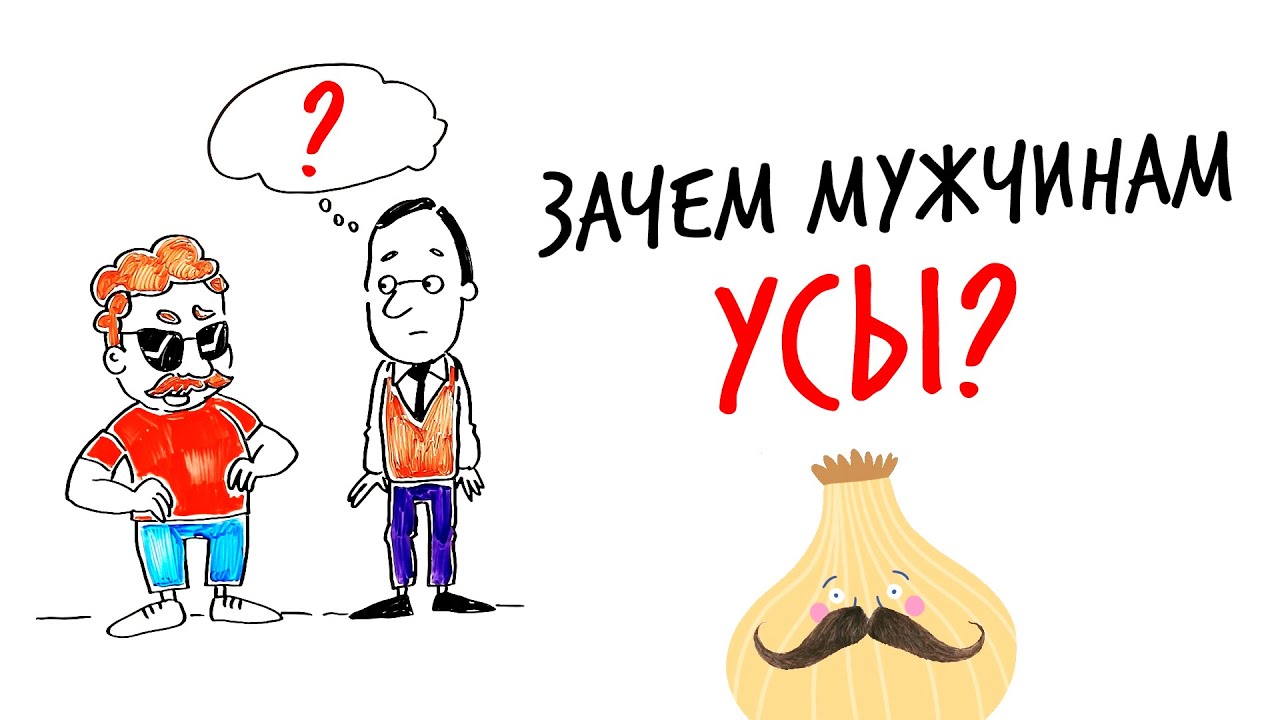Зачем мужчинам УСЫ? &mdash; Научпок