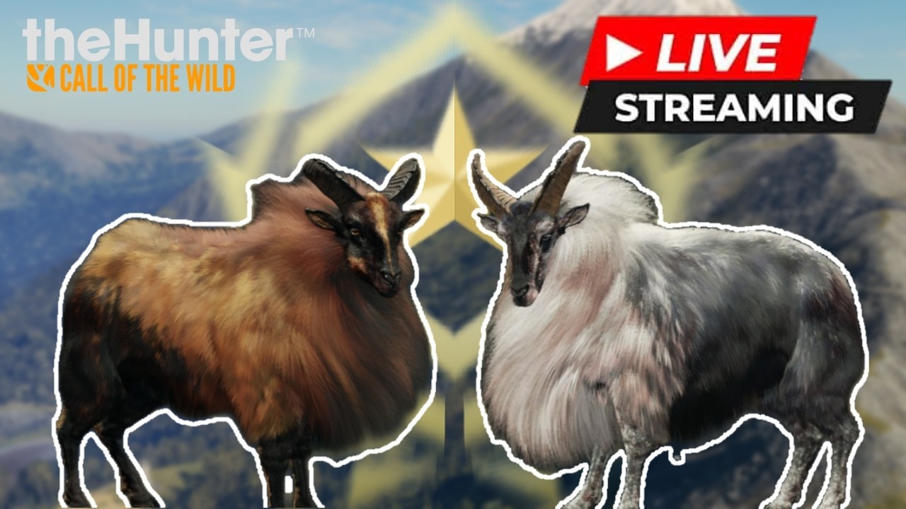 Descobrindo as Zonas do Tahr - The Hunter Call of The Wild