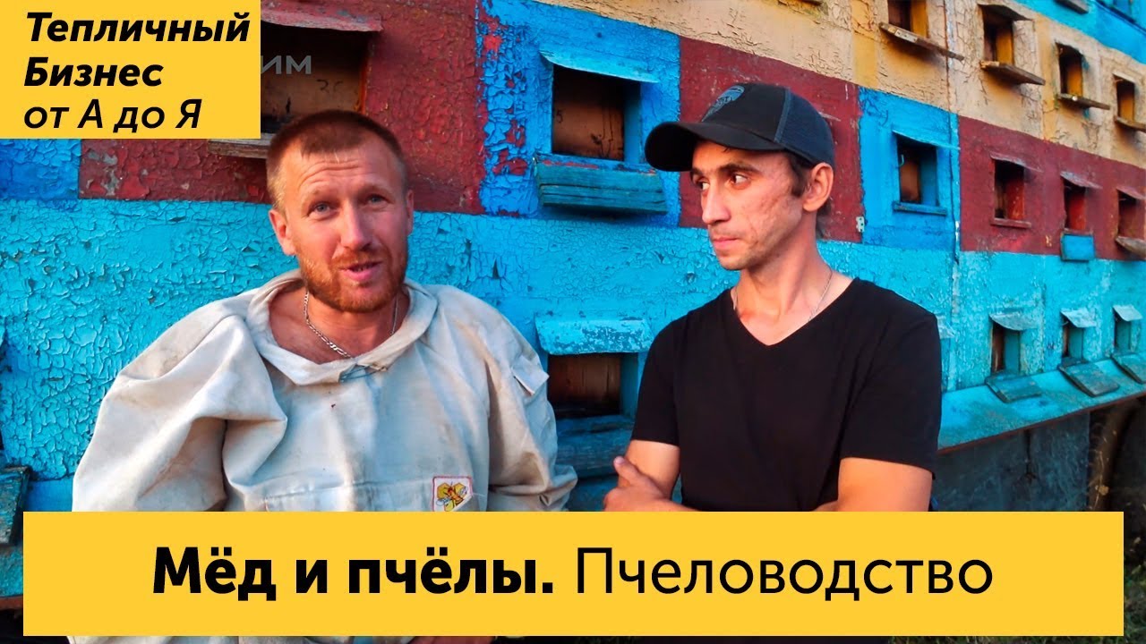 Мёд. Пчеловодство как бизнес и профессия. Математика пчеловода, и почему детям нужно есть мёд!