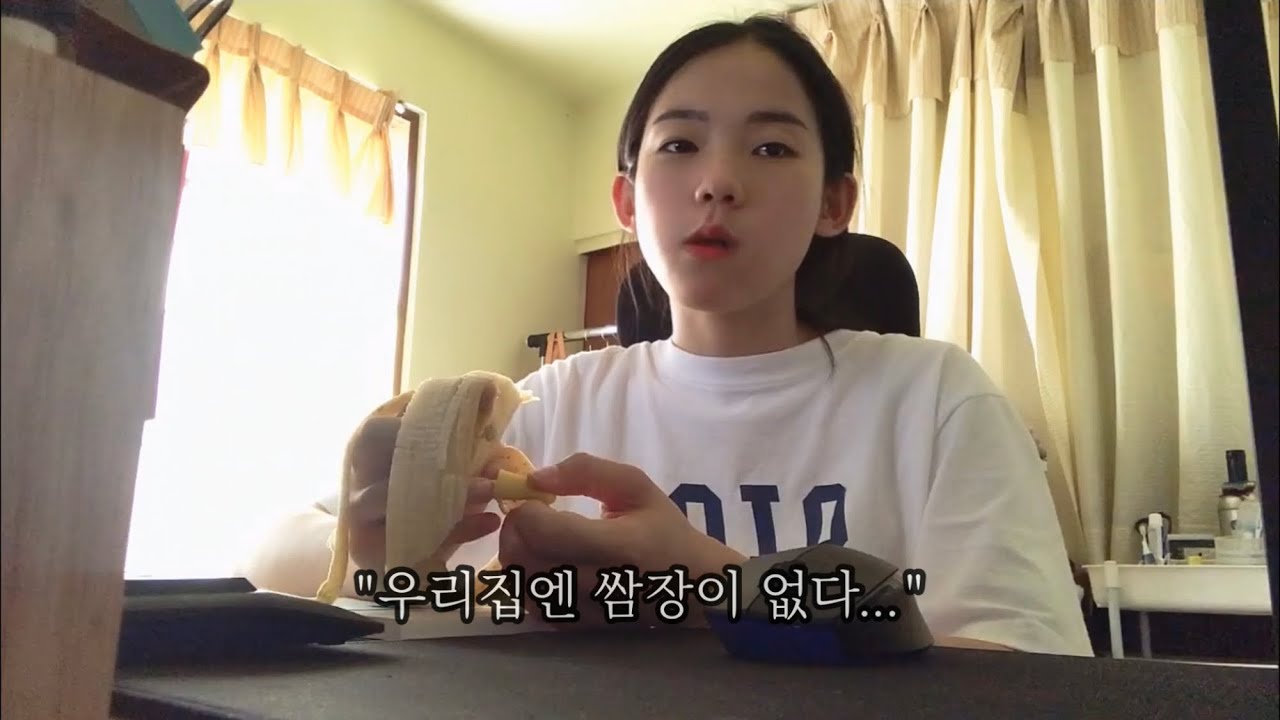 알바 후 고추따서 된장찌개 그리고 고양이