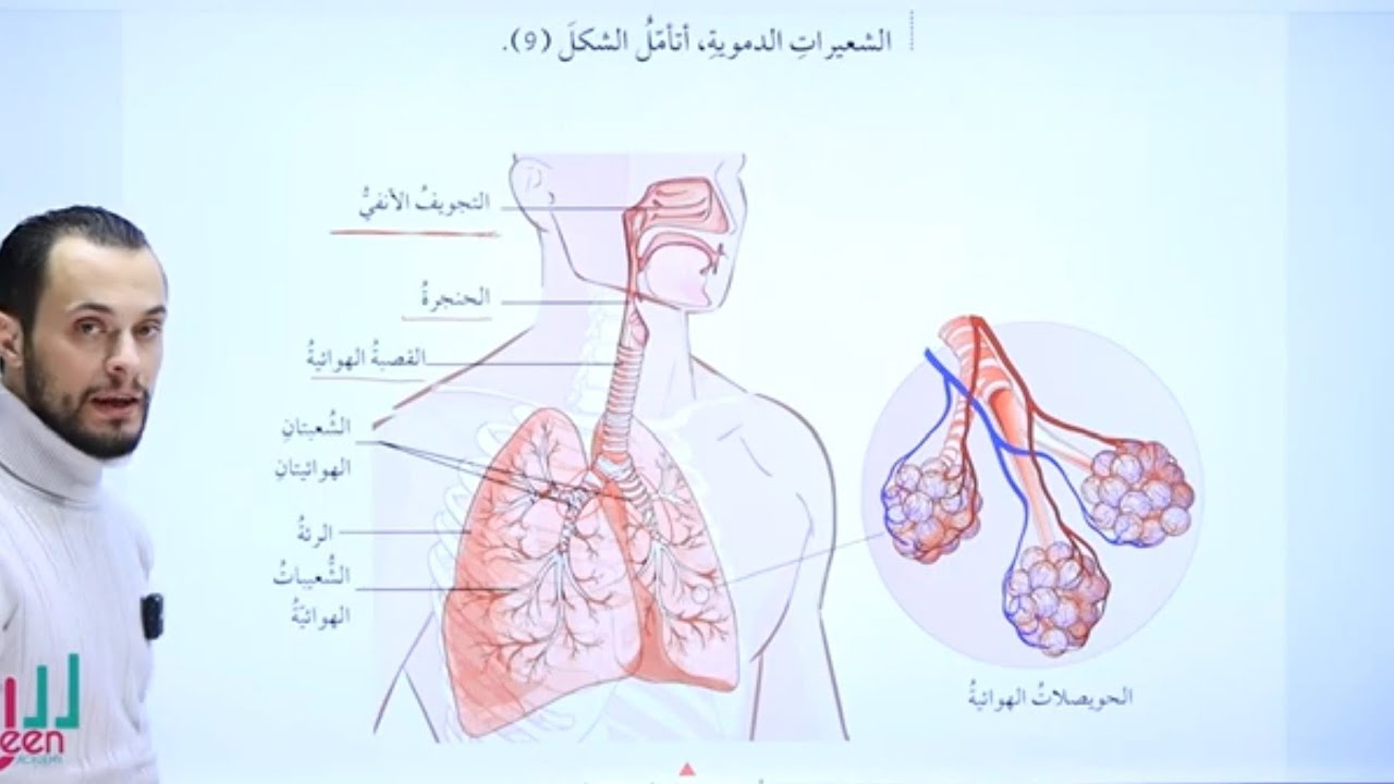 الضبط والتنظيم الجزء 3 ( علوم الصف الثامن الفصل الثاني المنهاج الجديد 2024) #يزن_قويدر