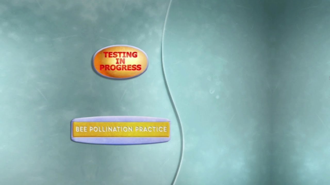 Bee Movie - DWK Game - Pollenation Practice