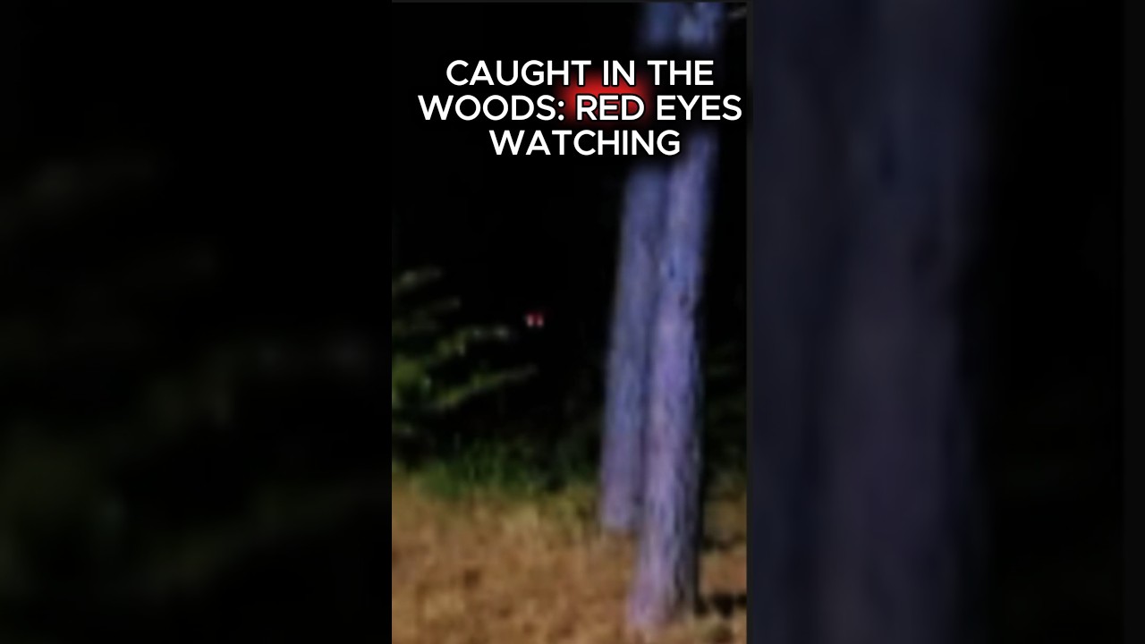 Terrifying Red-Eyed Creature Caught on Camera in Woods! 😱 | Mothman Encounter? #scary #reels