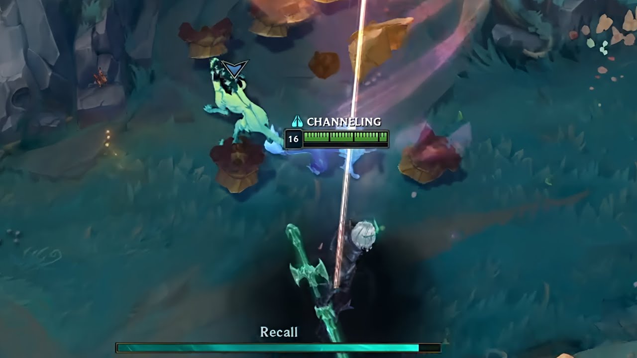 VIEGO HAS A PET NOW?
