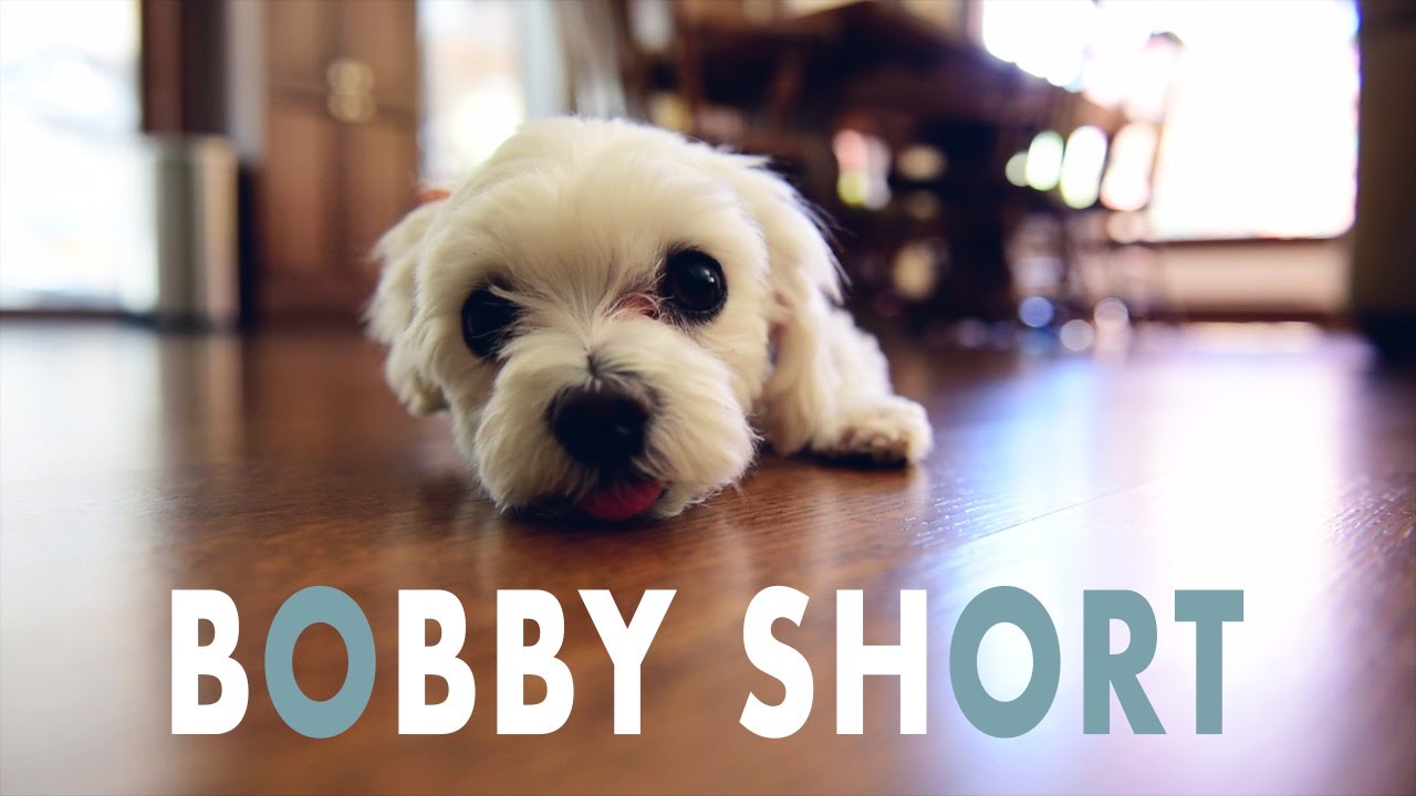 Bobby - A Short Film
