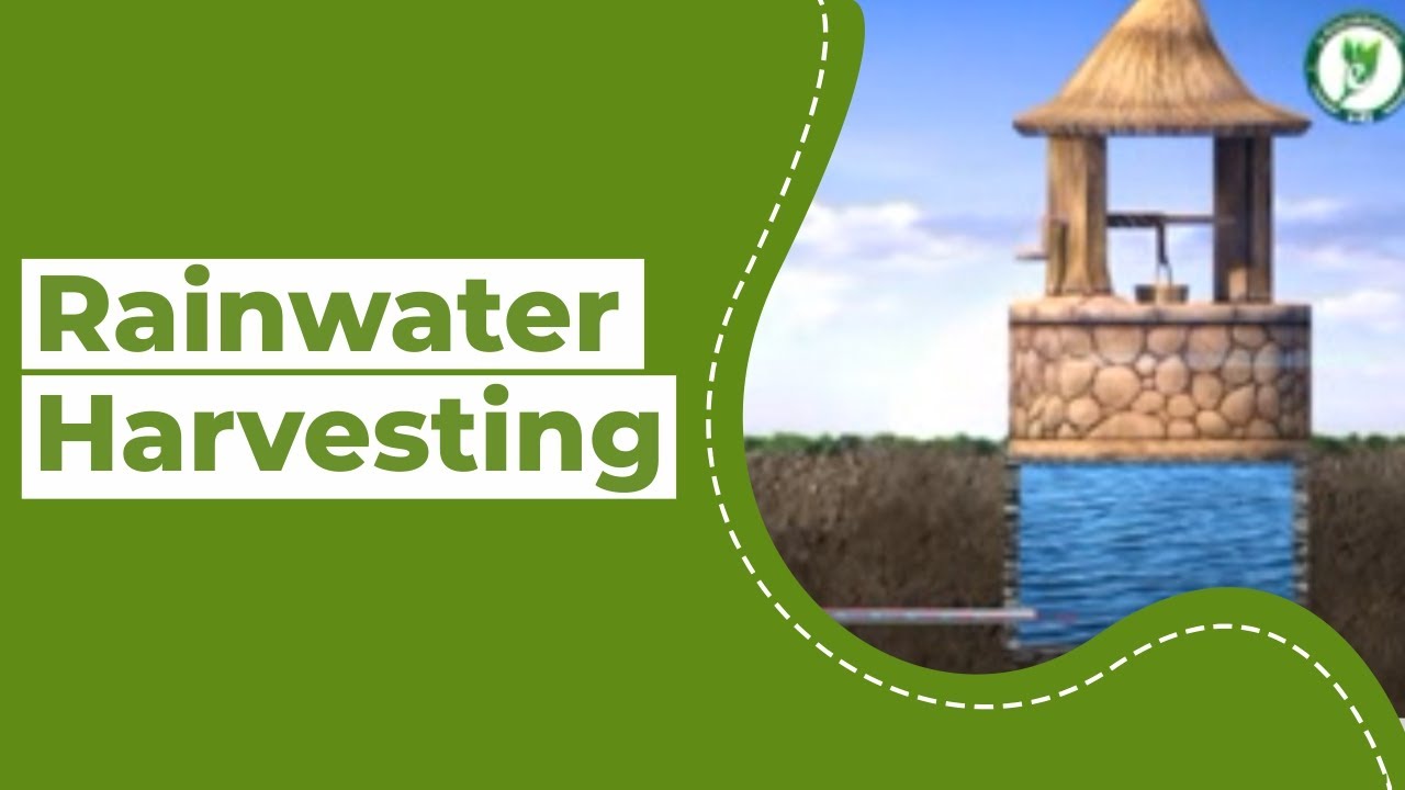 Rainwater Harvesting