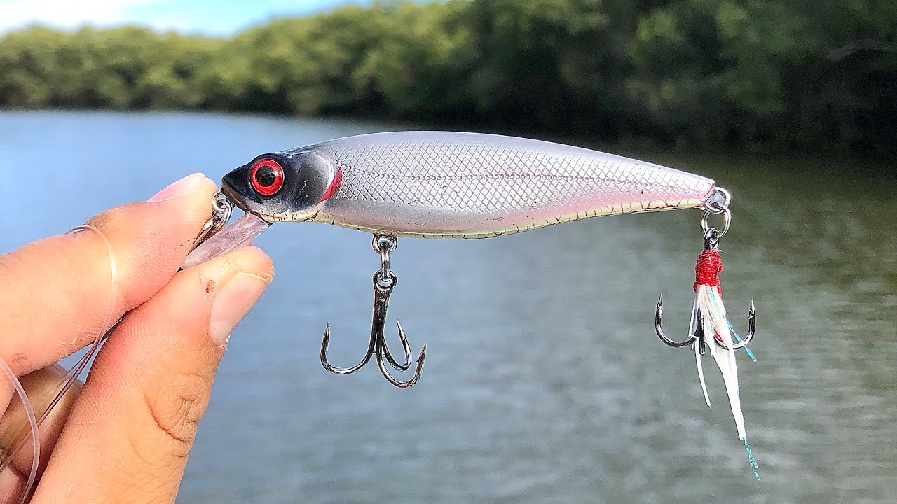 PESCA de PARGOS y RÓBALOS// Pesca en esteros // pesca con minnow