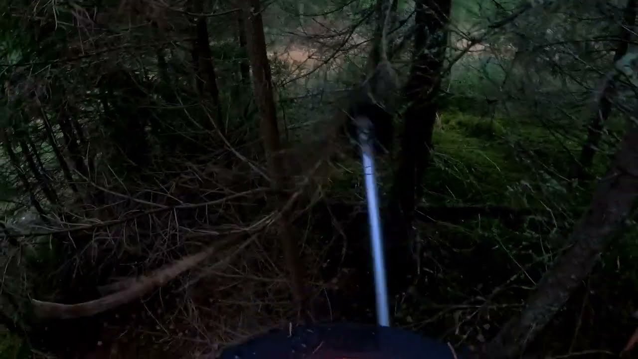 Tiheän kuusikon ennakkoraivaus