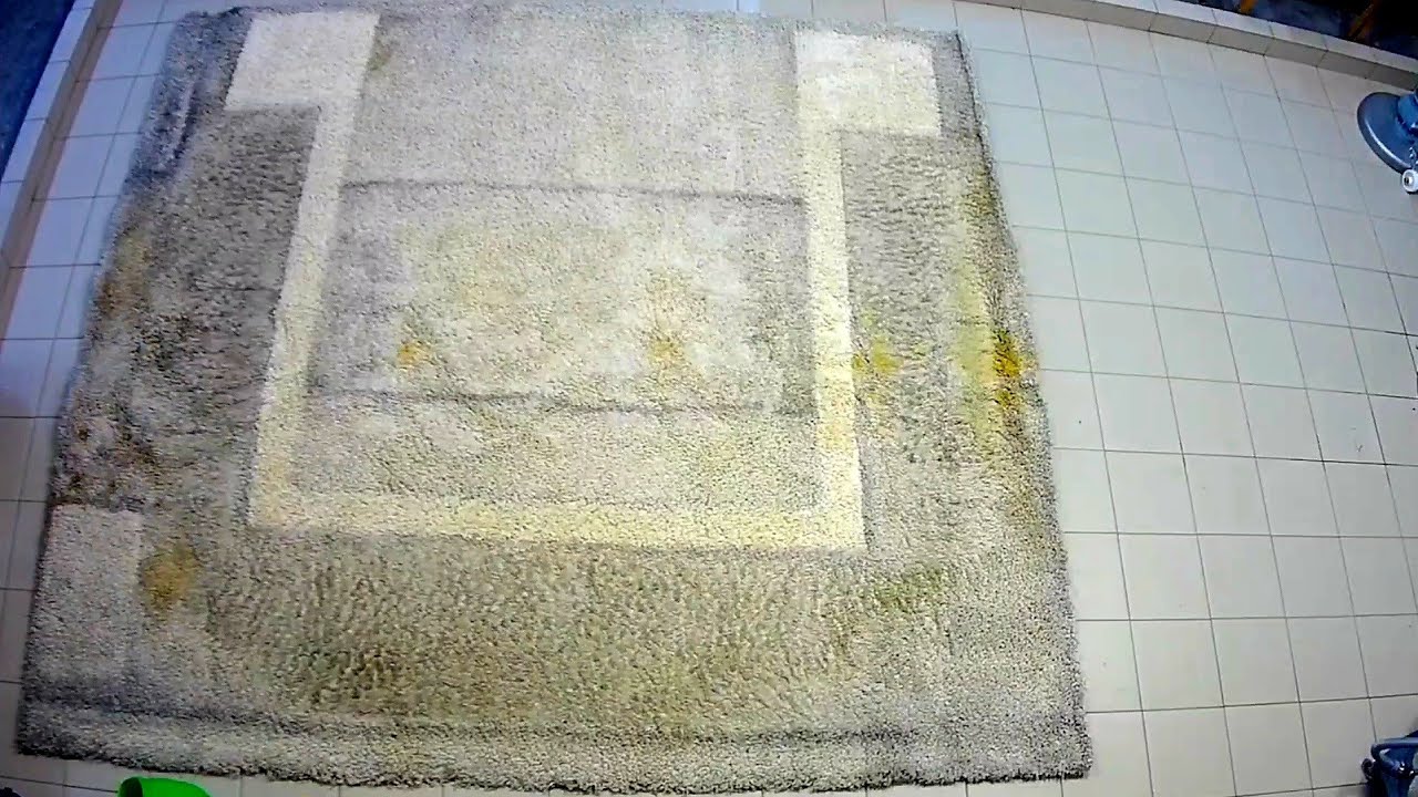 Грязный, большой, толстый ковер, ещё и с запахом мочи/ Dirty, large, thick carpet, smelling of urine