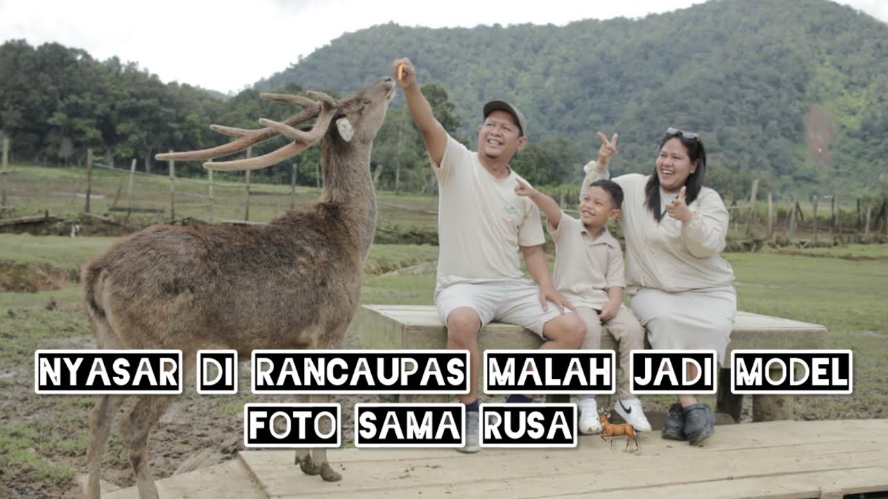Campervan di Rancaupas — Dingin! Camping bikin nagih❗️Nonton sampai selesai