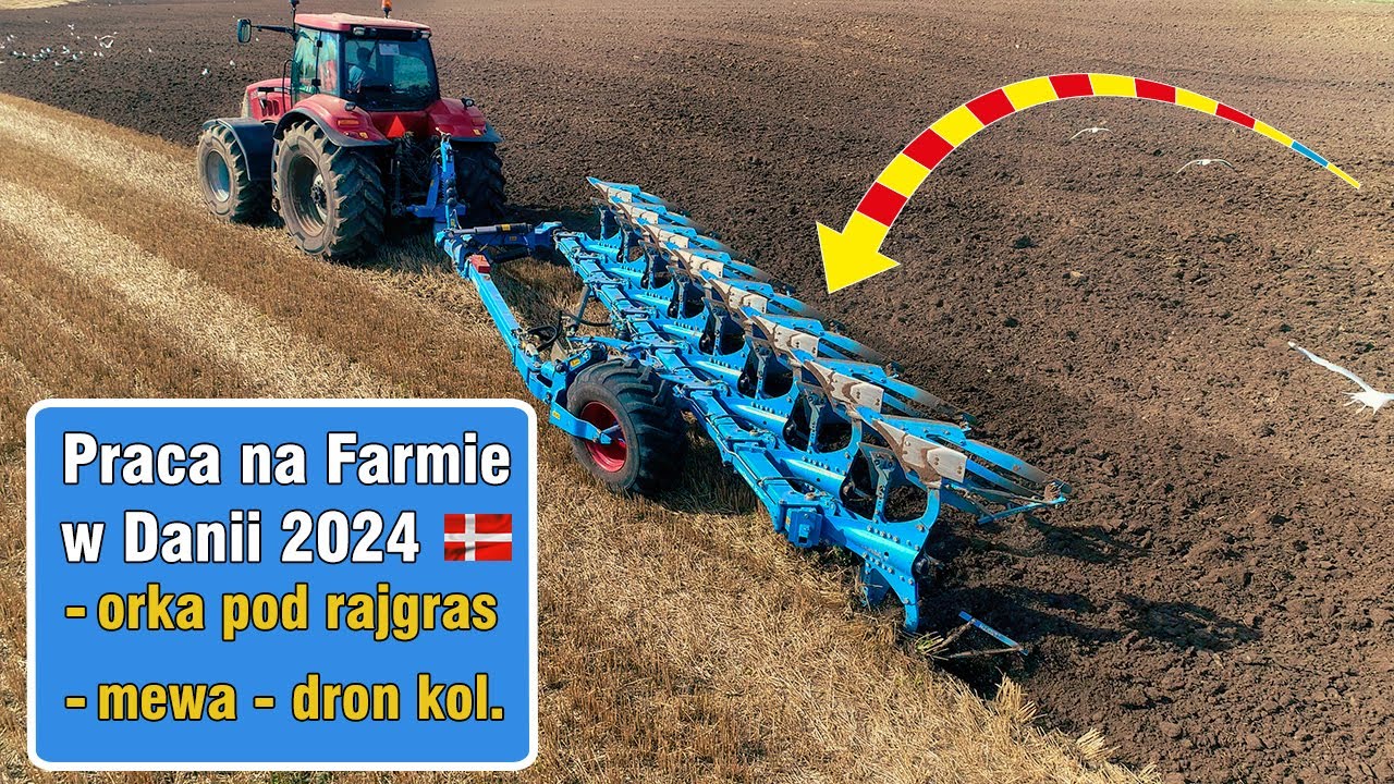 Orka i mewa uderza w drona 🚜_VVVVVVVVo🏁