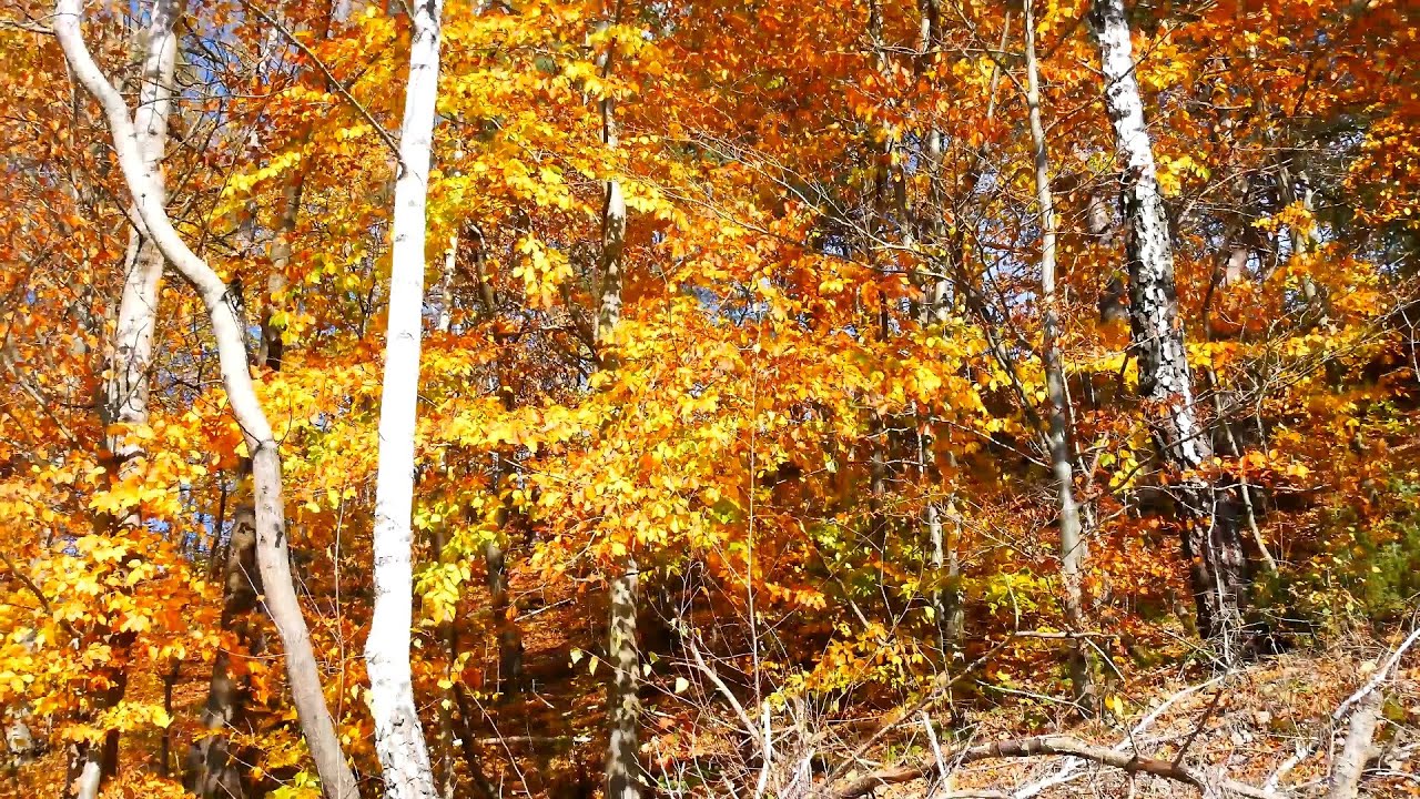 Велоподорожі Самбірщиною - в Біличі та Волошиново в золоту осінь