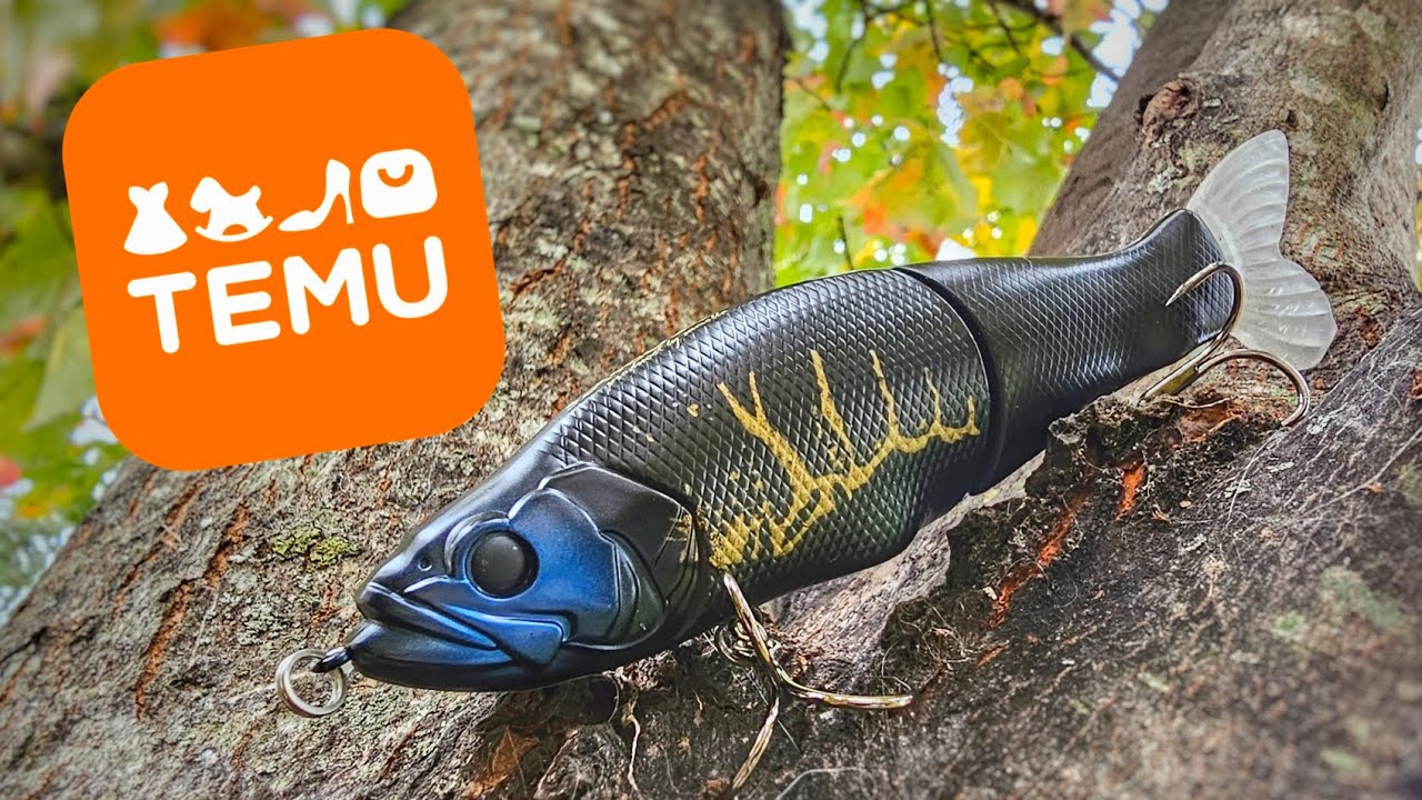 TEMU FISHING LURES (knock-offs)
