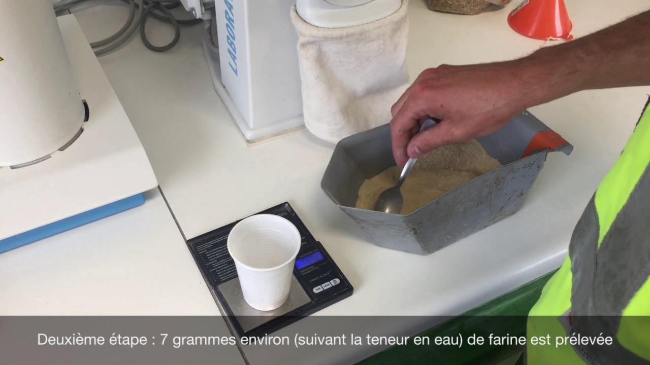 temps de chute de Hagberg coop tonnay boutonne