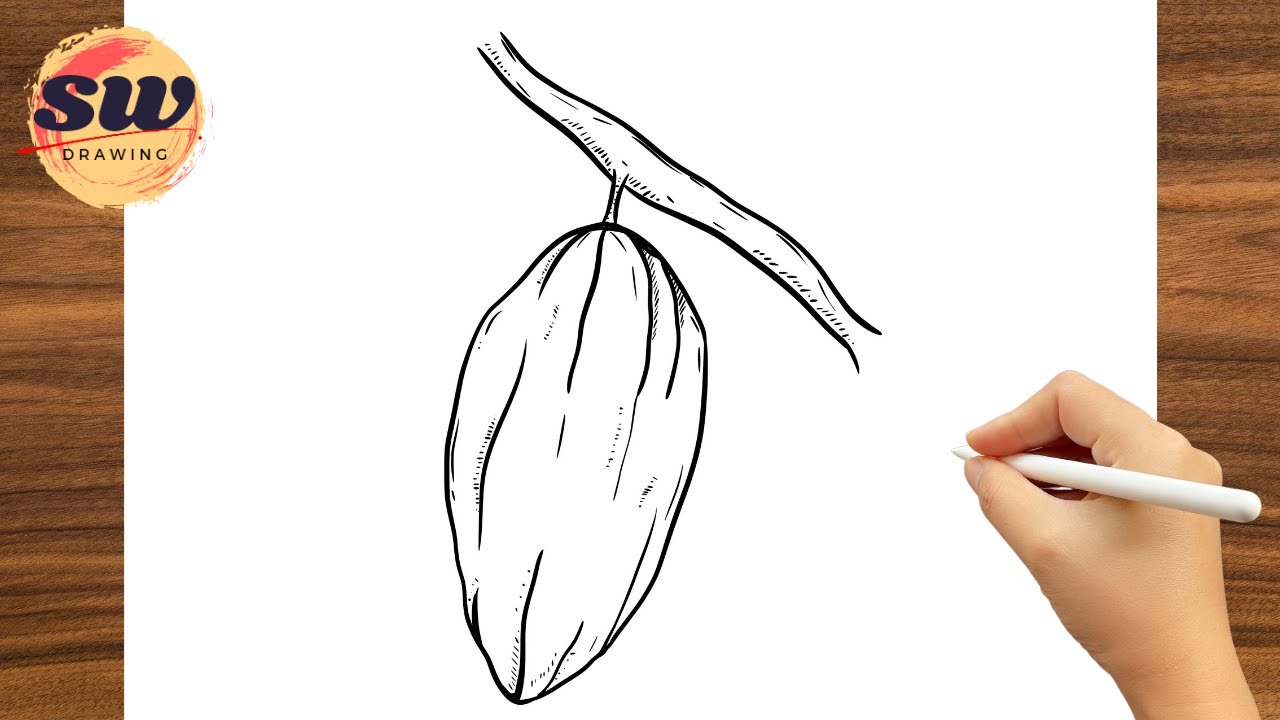 How to Draw Cocoa