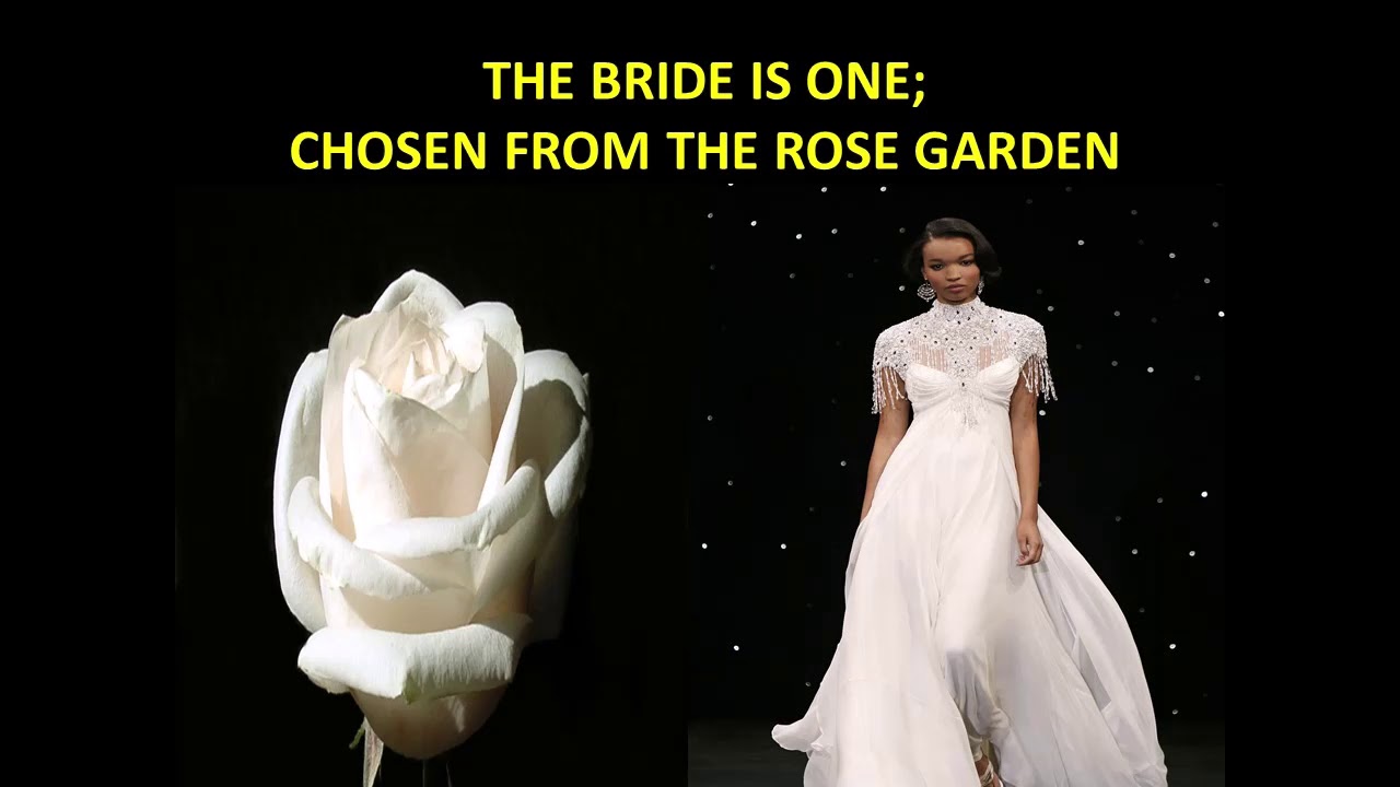Christ's Rib, His Bride: The Bride will be Taken from the Body of Christ!
