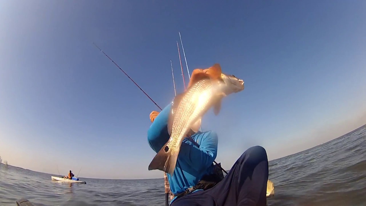 Found a Redfish Goldmine!!!! Fish Every Cast!!!