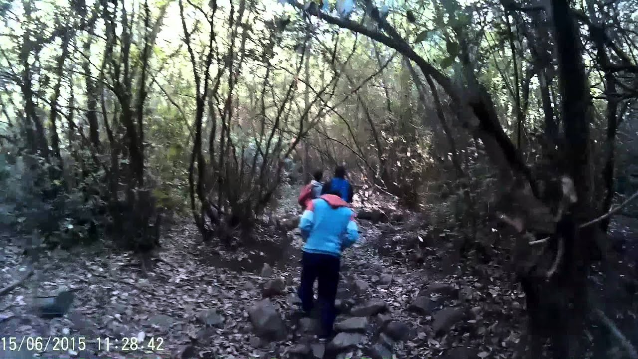 TREKKING RANCAGUA "LAS BELLEZAS DE LA SEXTA REGIÓN"