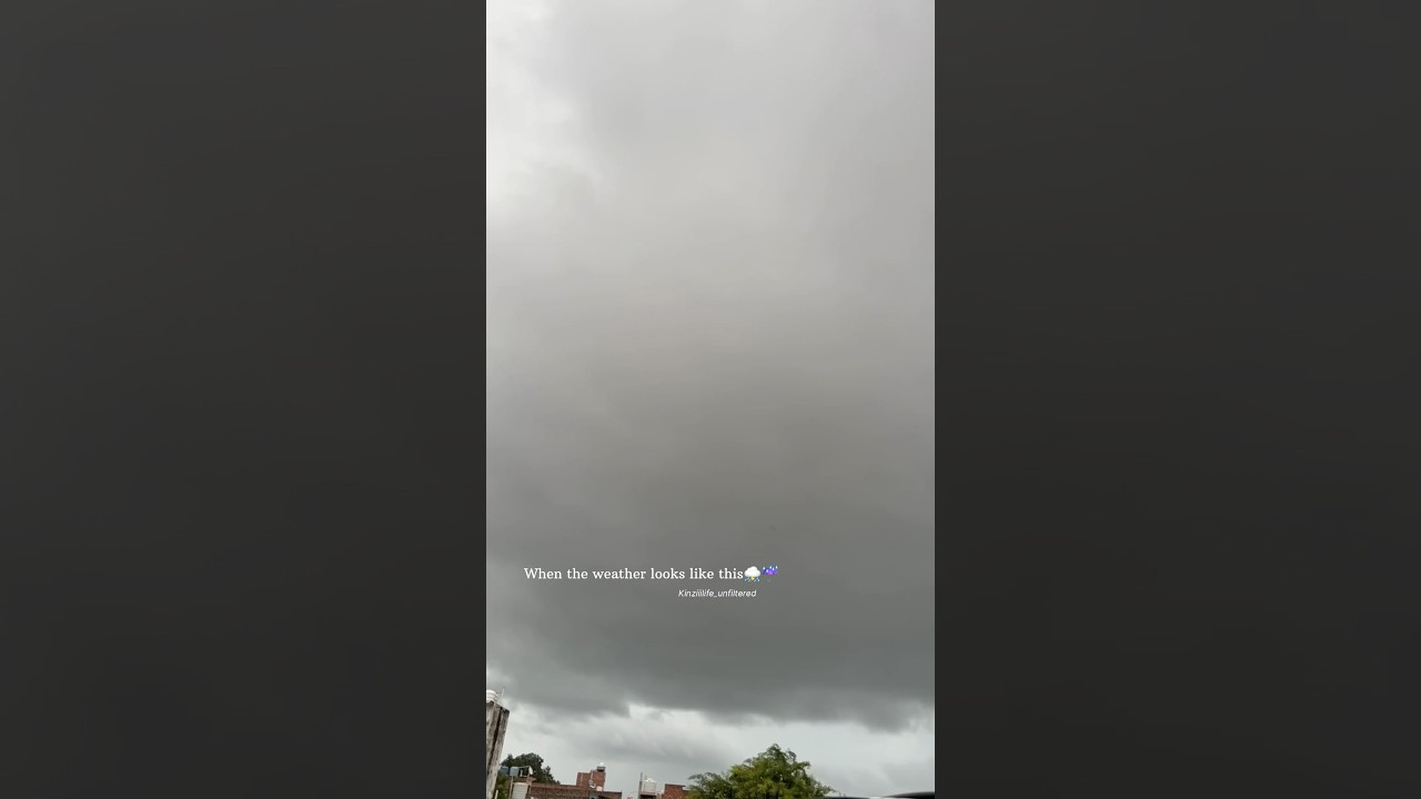 Therapy🍃#rain #rainsounds #monsoon #weather #therapy #song #soothing #rainvideos
