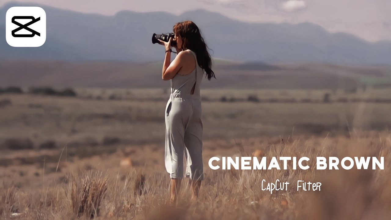 Cinematic Brown CapCut Filter | capcut editing tutorial