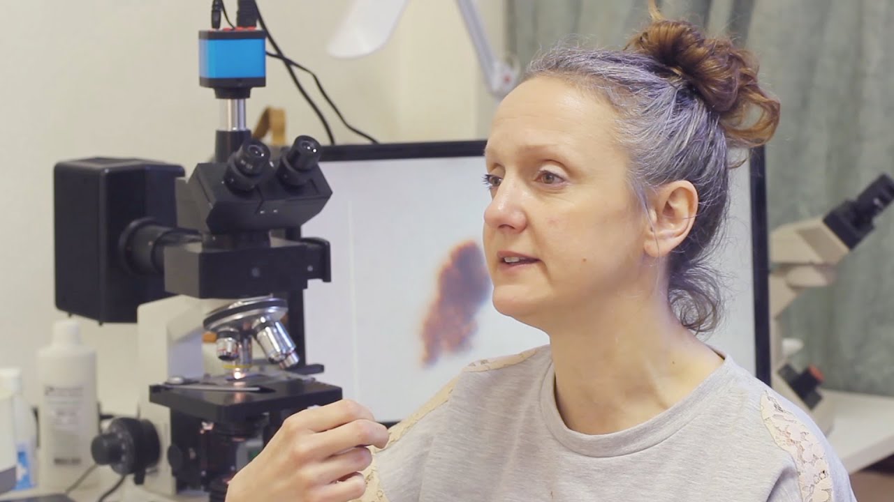 Maja Smrekar, Gjino &Scaron;utić: 'reProductive narratives'