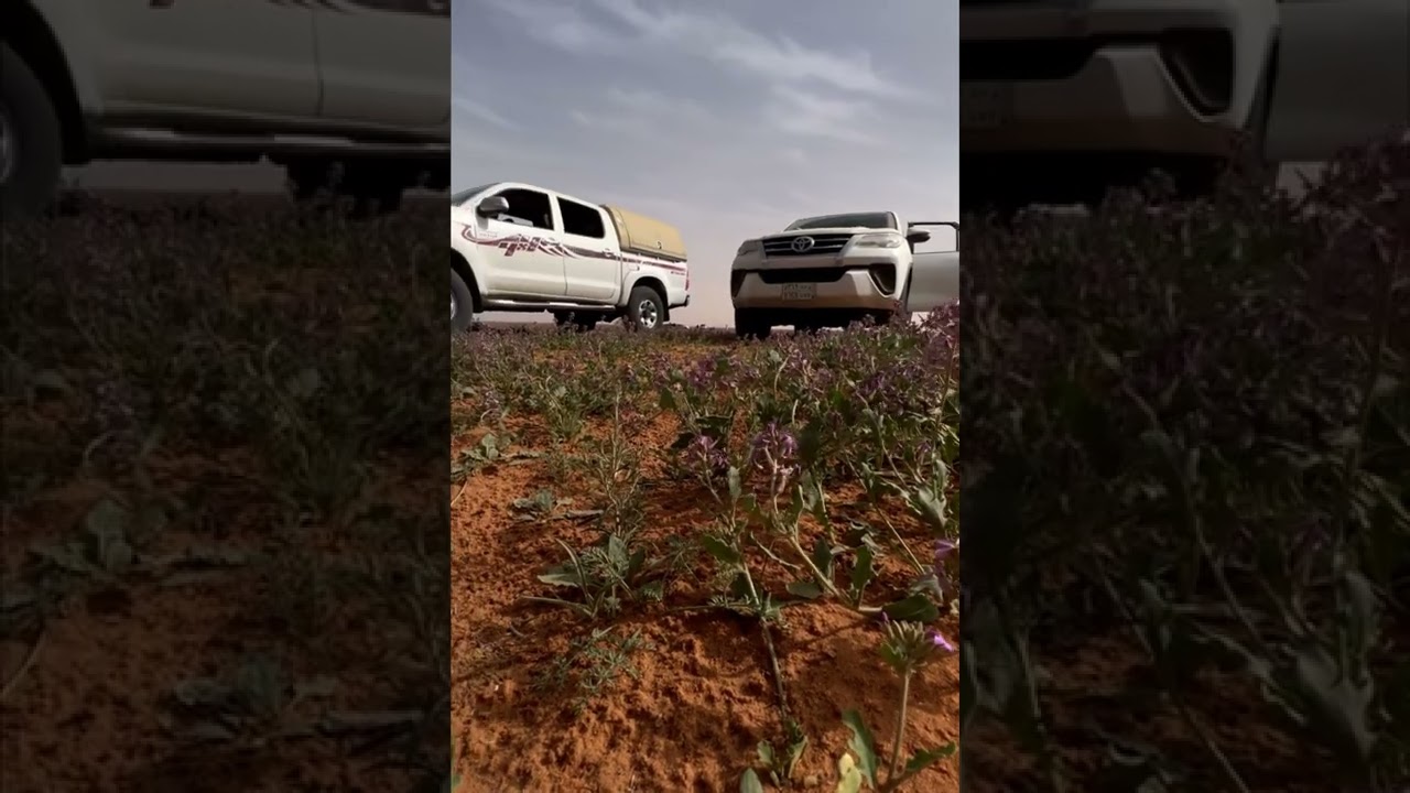 على الله ماعلى الغير اتكلنا