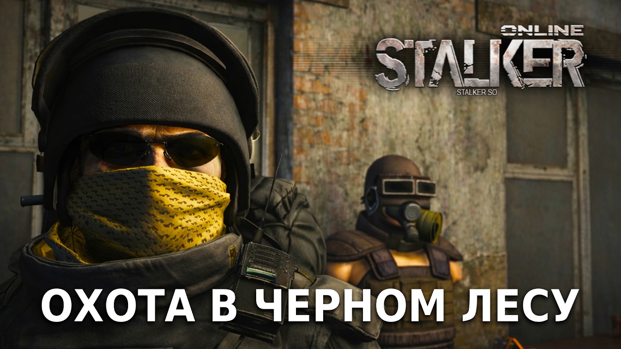 ⚡️STAY OUT | ОХОТА В ЧЕРНОМ ЛЕСУ #витязь #stayout
