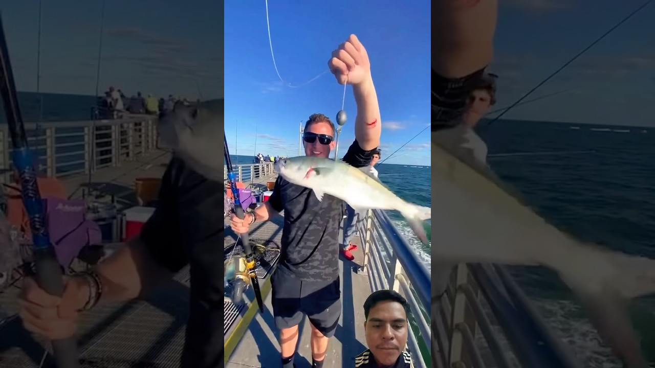 #fish #fishinglife #fishingpassion #carpfishing #amazingfishinglife #fishingvideo #catingfish