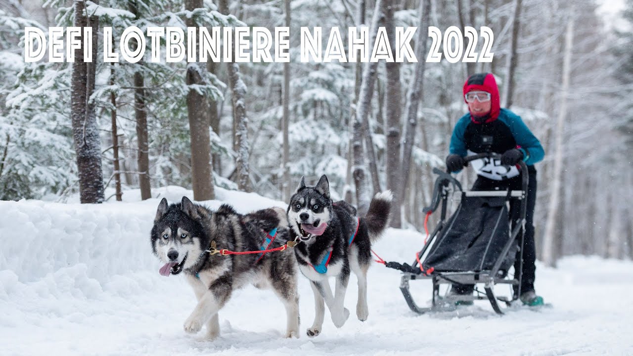 Race Video - Defi Lotbiniere Nahak 2022 - 2 dog Sled