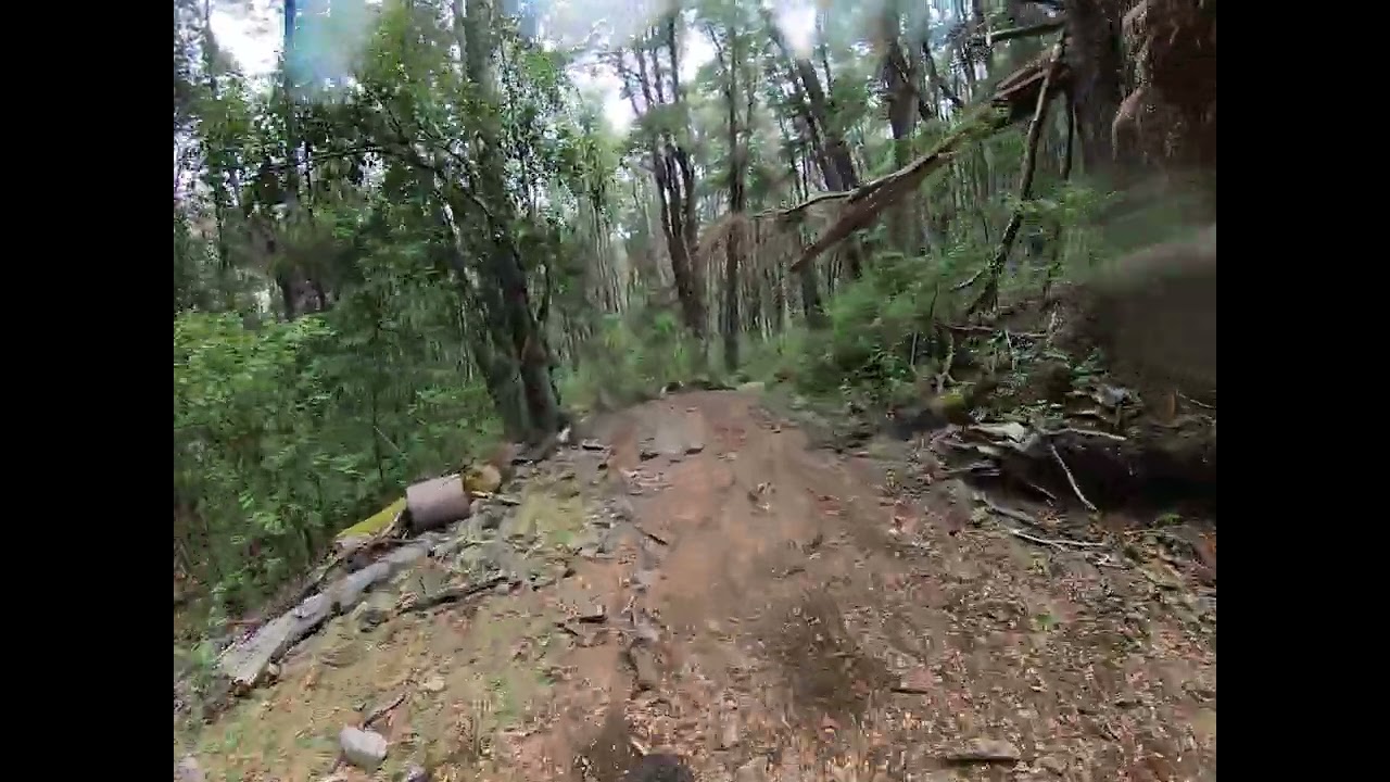 Pasarelas del Manso 08/03/26 con Leo