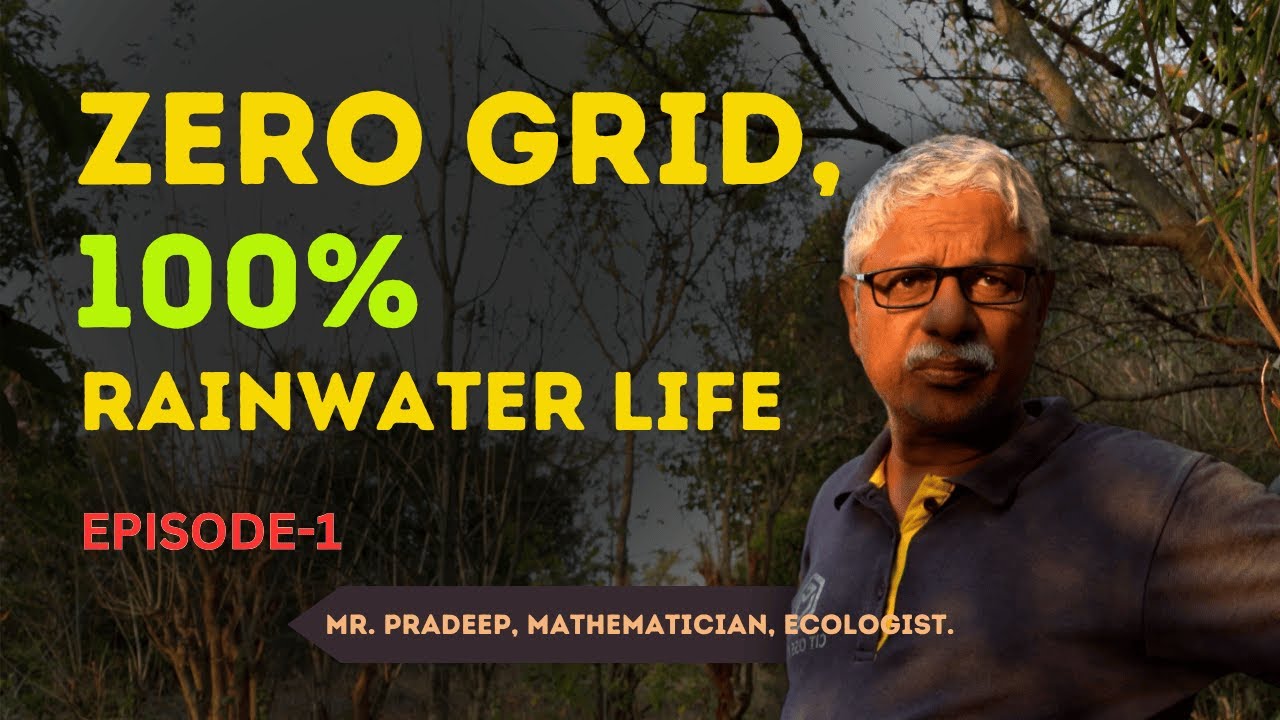 No Electricity, No Water Bills: A Mathematician’s Off-Grid Forest Lifestyle