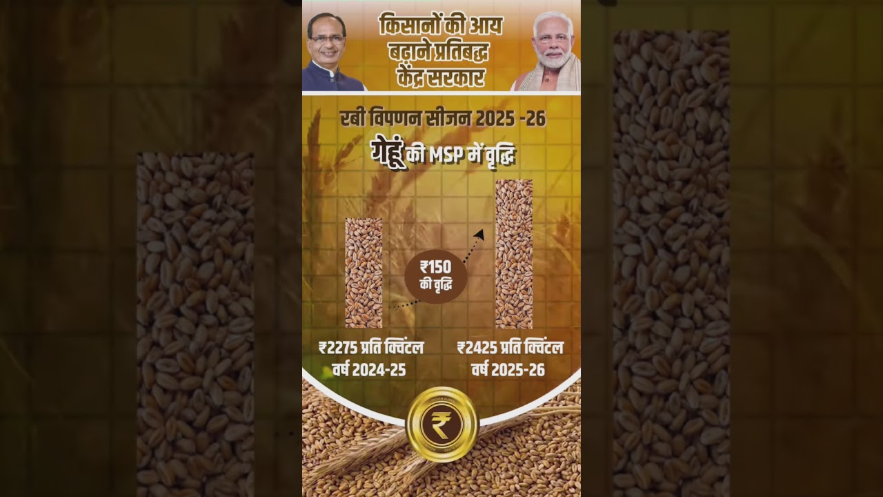 What is the MSP price of wheat 2025? #shortsfeed #shorts #viral