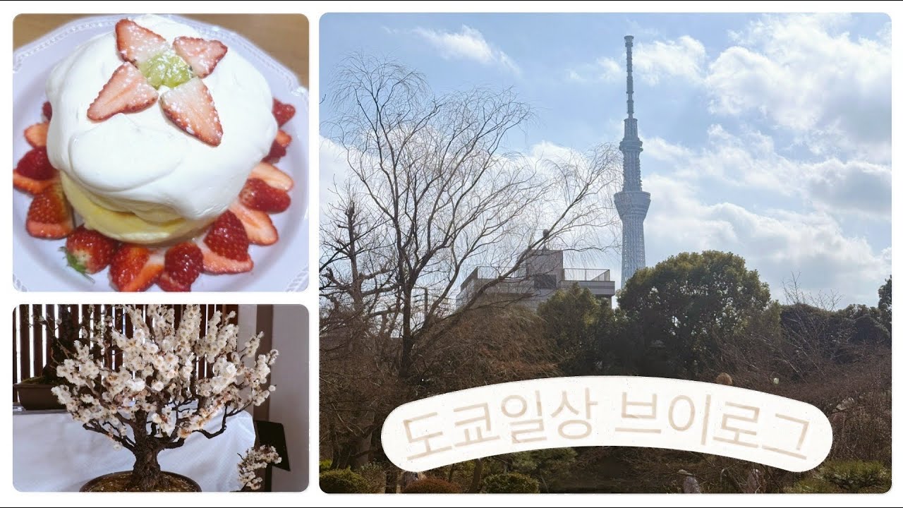 [도쿄일상] 2월 주말일상 모음집! 먹고 놀고 먹고먹고 또 놀고 먹었던 주말 🥞🍣🍖🌸🌼⛩️