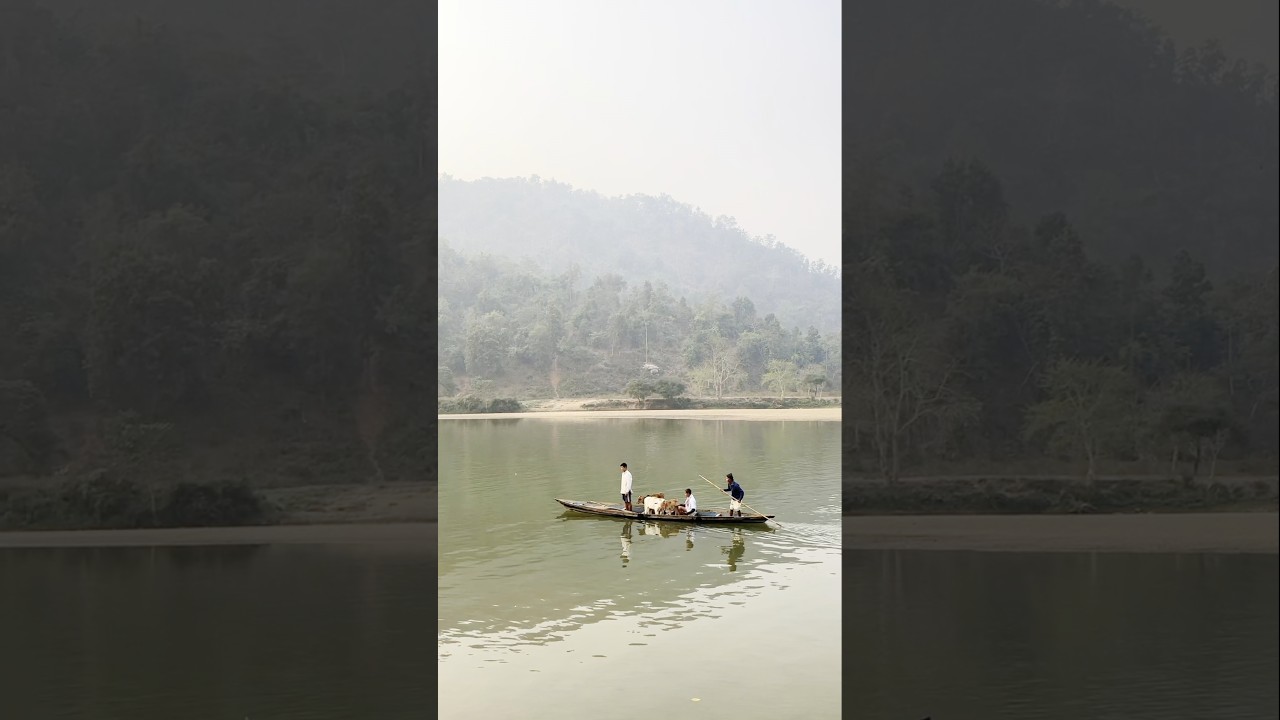 From Rural Areas To The Tea Gardens Life In Assam Has Many Colours That Will Mesmerise You.