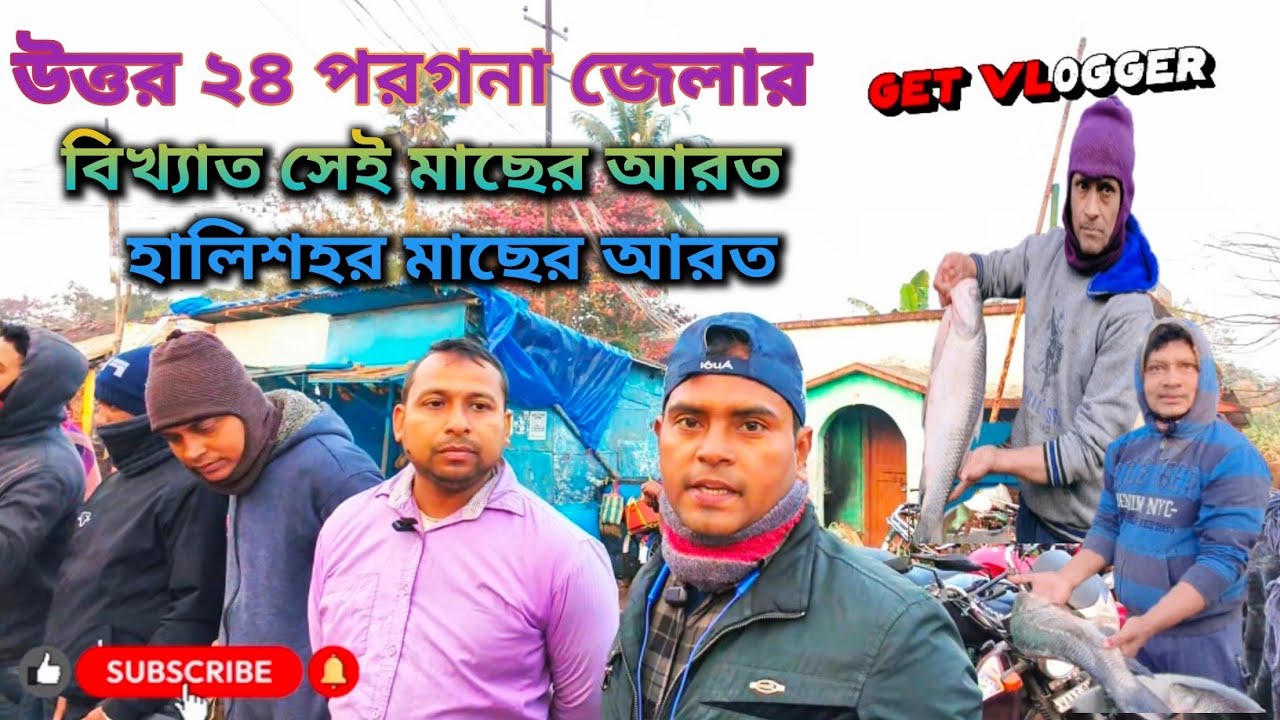 HALISAHAR Machar Arot / Halisahar fish wholesale market / হালিশহর মাছের বাজার।
