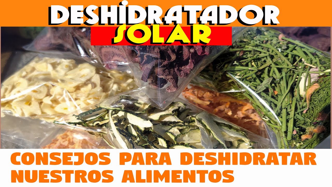 Aprende a Deshidratar Alimentos en casa usando el sol como energía.