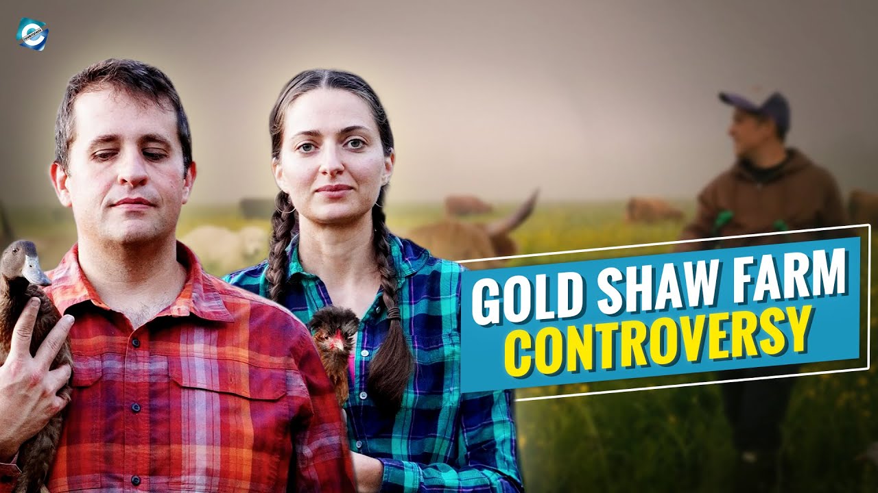 What happened to Gold Shaw Farm? What does Morgan Gold do for a living?