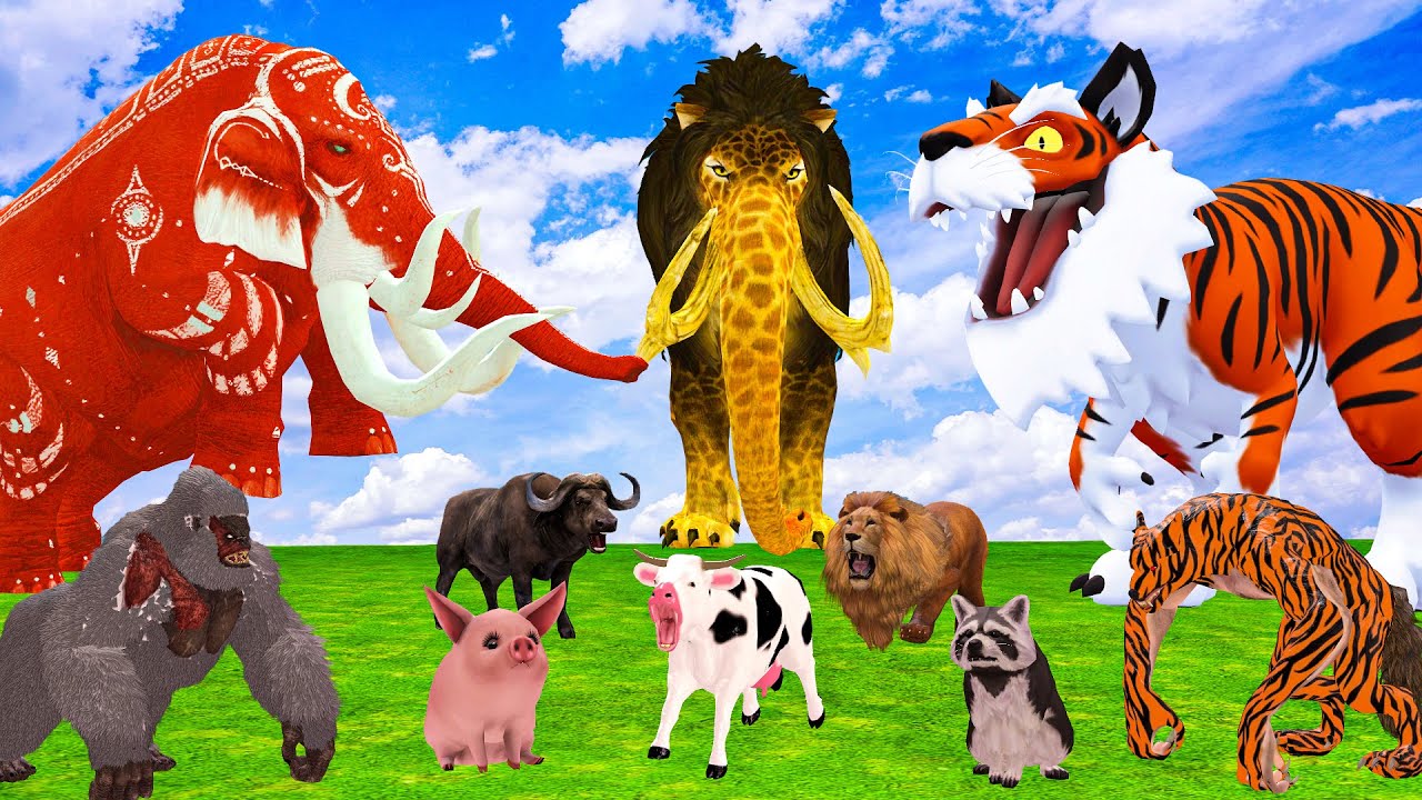 5 Giant Mammoth Elephant Cow vs Giant Indian Mammoth vs 5 Giant Tiger Wolf Saved By Wolly Mammoth