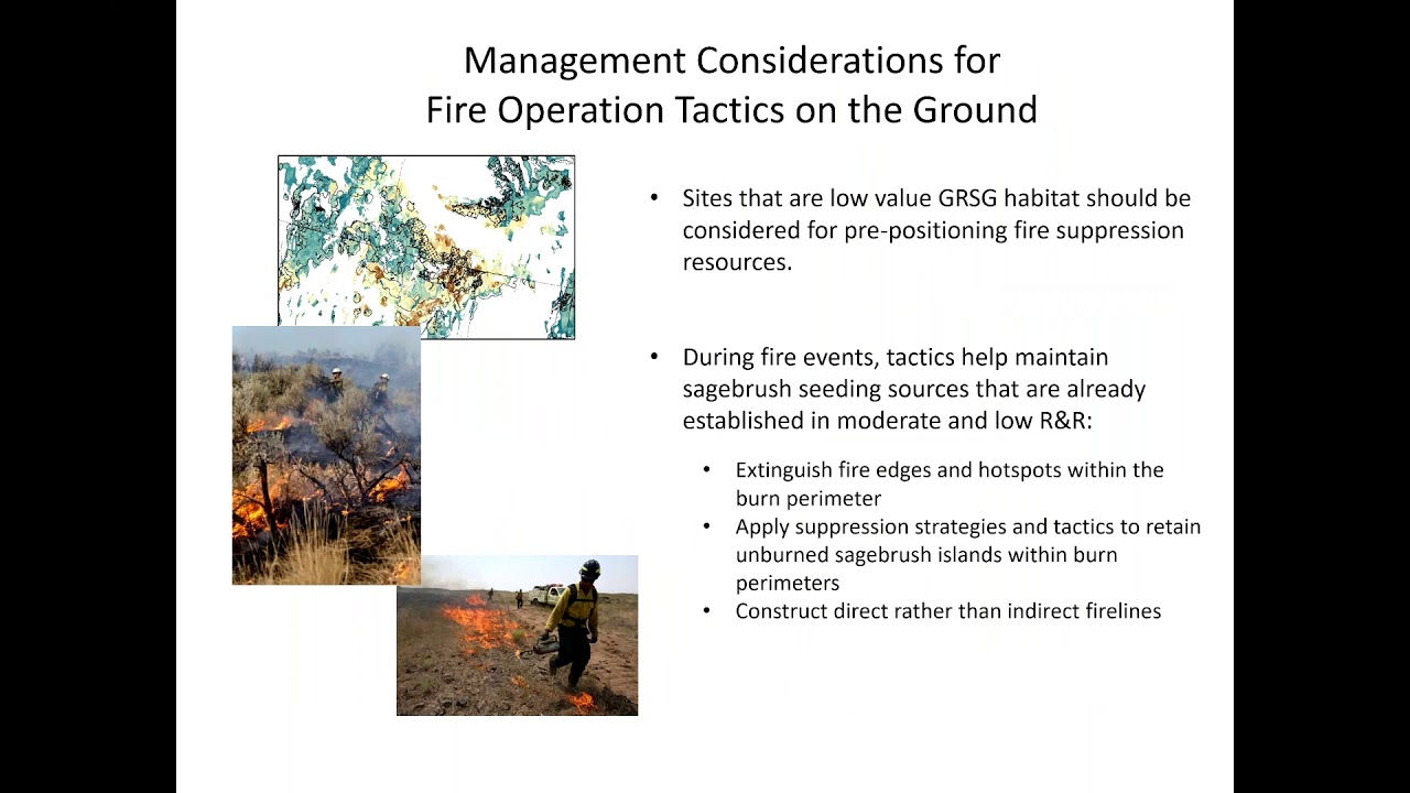 Implementing Wildfire and Vegetation Management Strategies